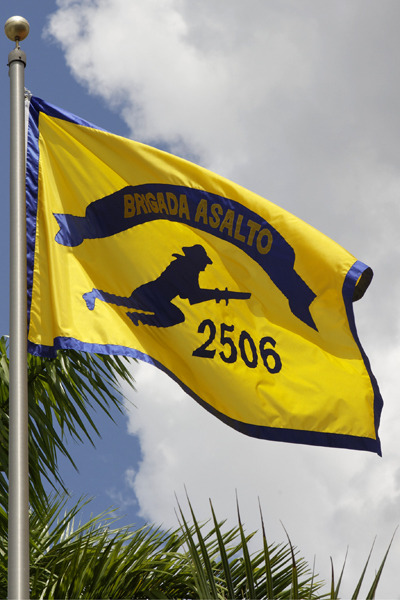 Image result for Cuban Brigade 2506 flag